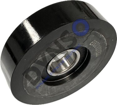 Otis leiderrol, 100/25x25mm, FAA456N1-W